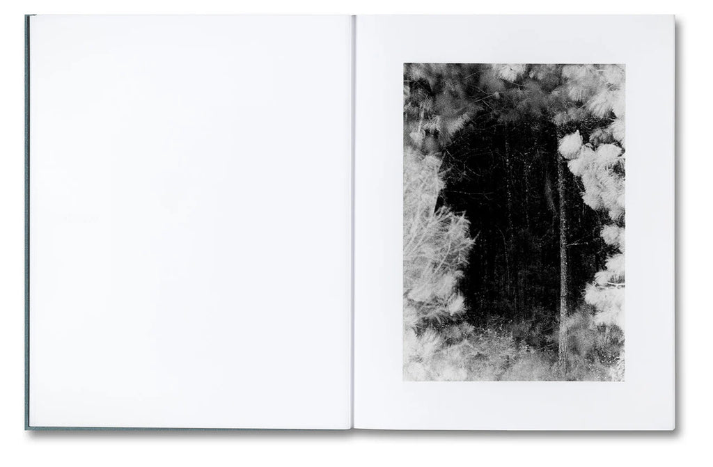 Daniel Shea - Distribution