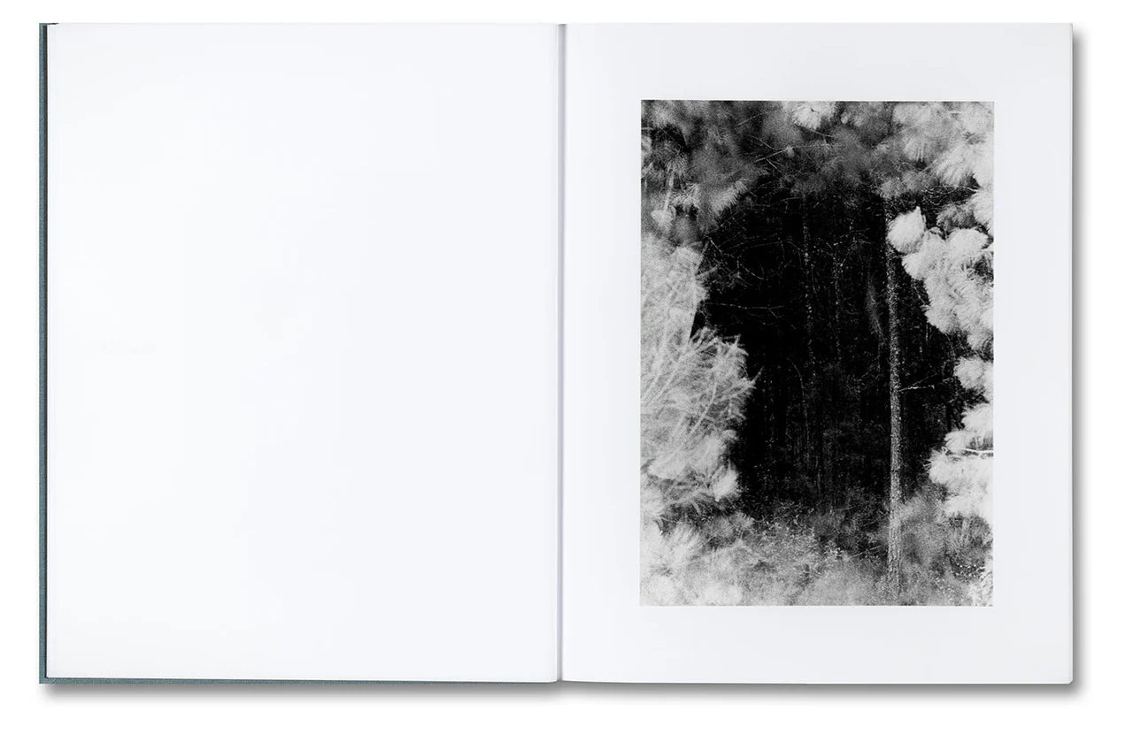 Daniel Shea - Distribution