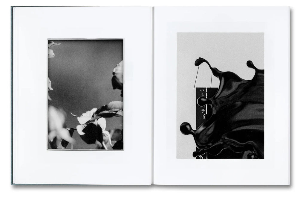 Daniel Shea - Distribution