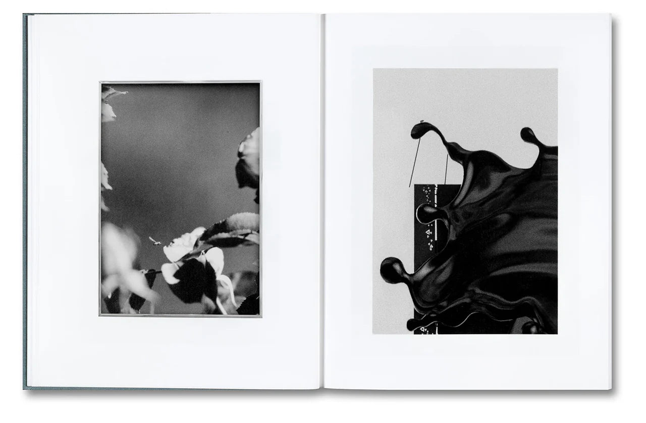 Daniel Shea - Distribution