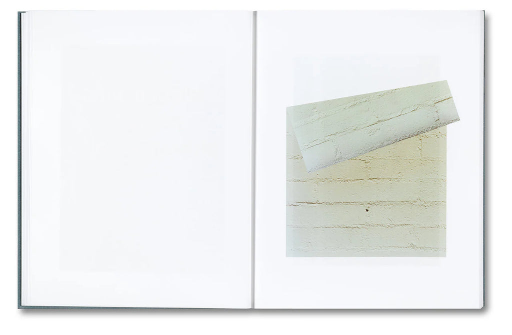 Daniel Shea - Distribution