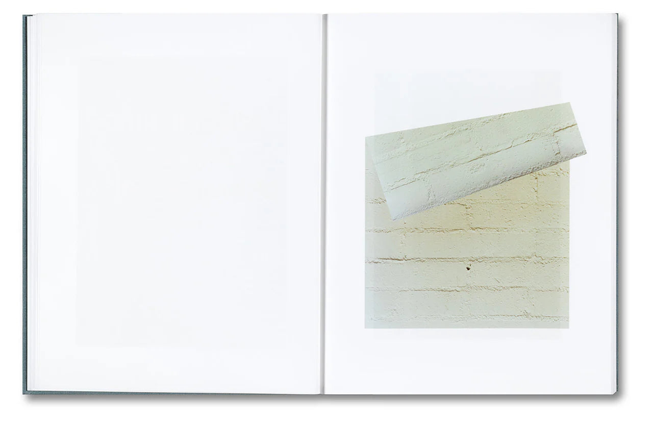 Daniel Shea - Distribution