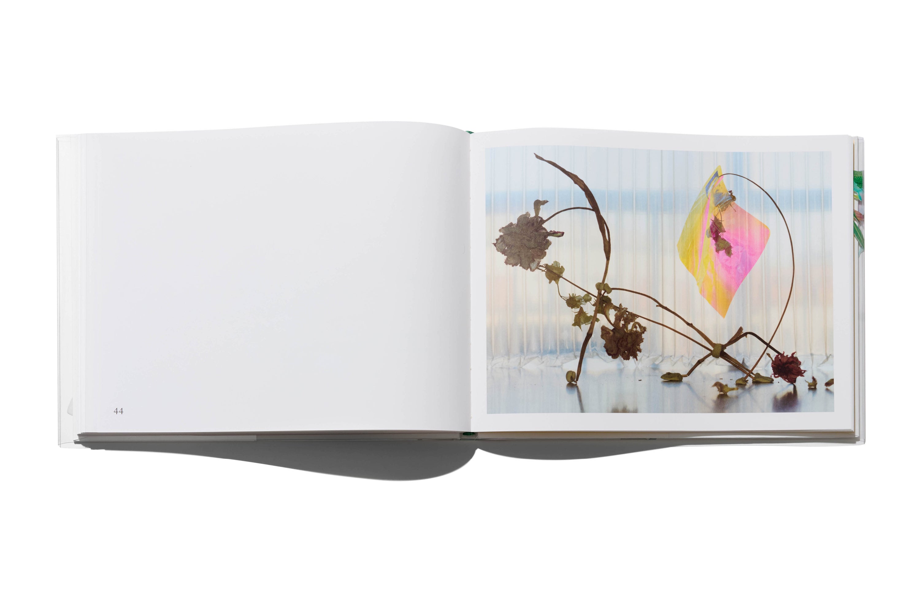 Arnaud Lajeunie - Flowers