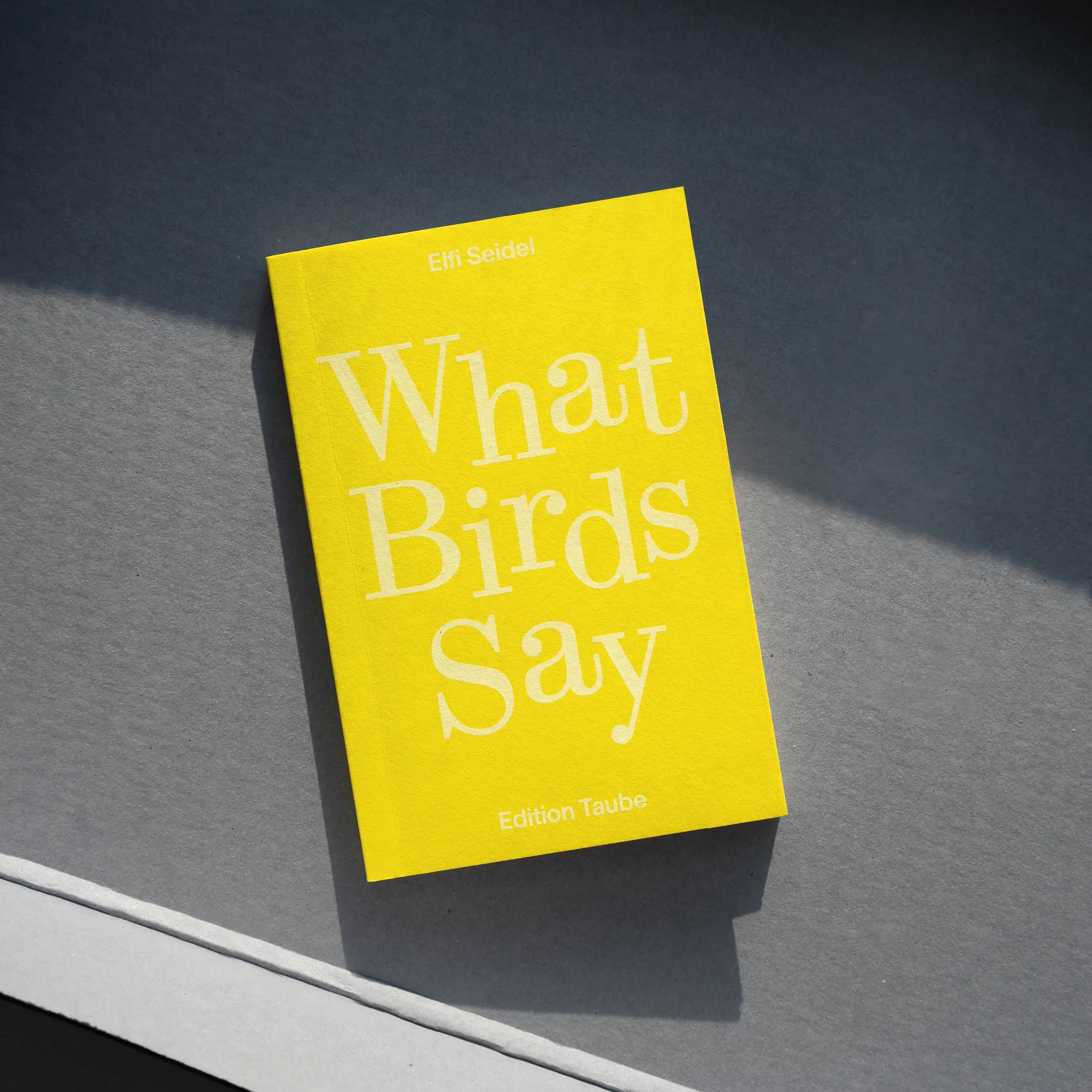 Elfi Seidel - What Birds Say