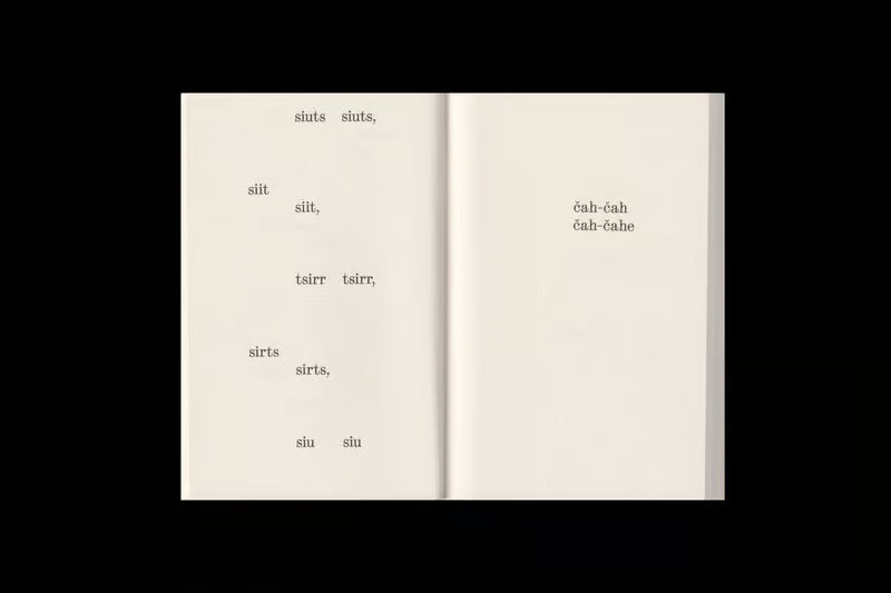 Elfi Seidel - What Birds Say