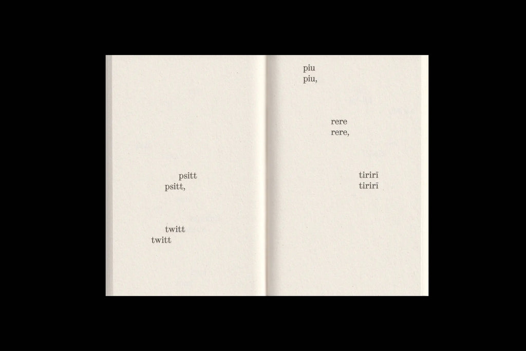 Elfi Seidel - What Birds Say