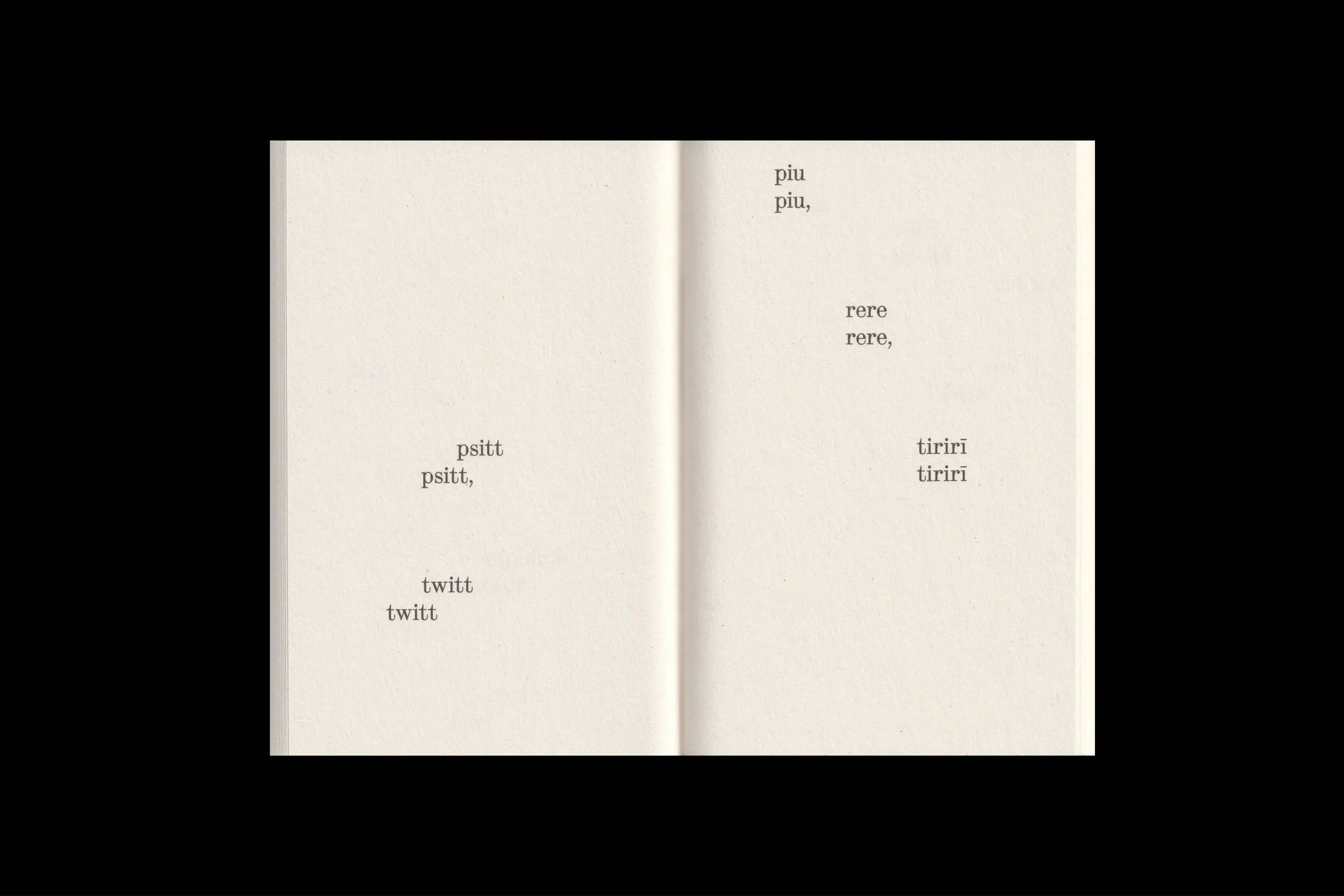 Elfi Seidel - What Birds Say