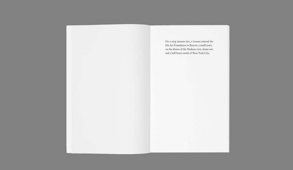 Stefan Sulzer - The Day My Mother Touched Robert Ryman