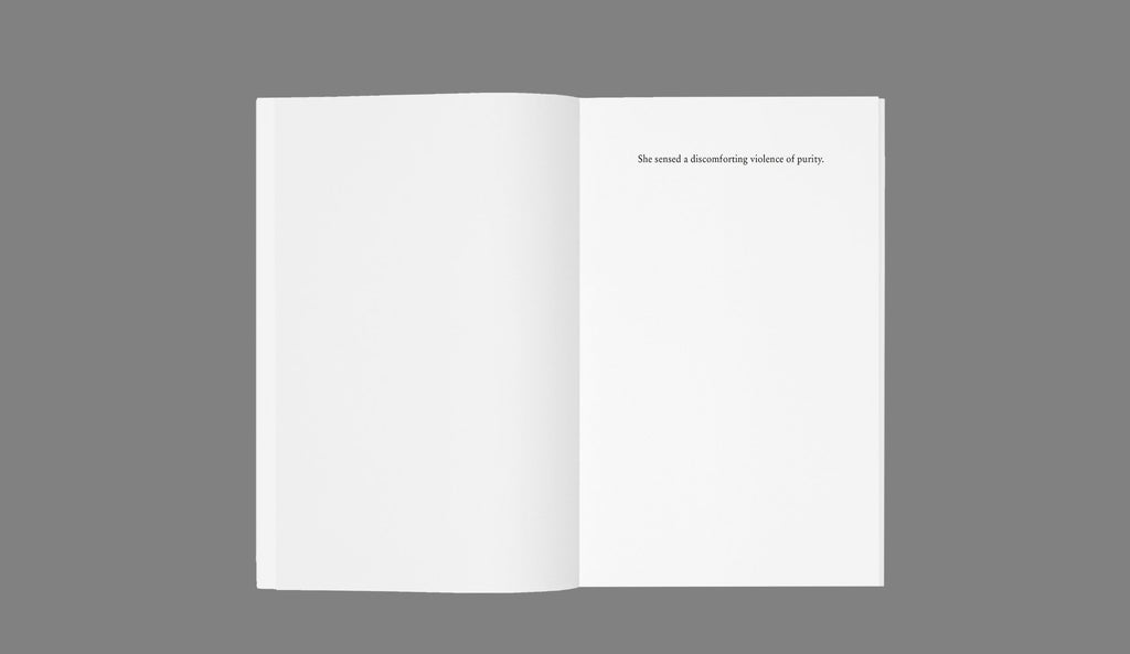 Stefan Sulzer - The Day My Mother Touched Robert Ryman