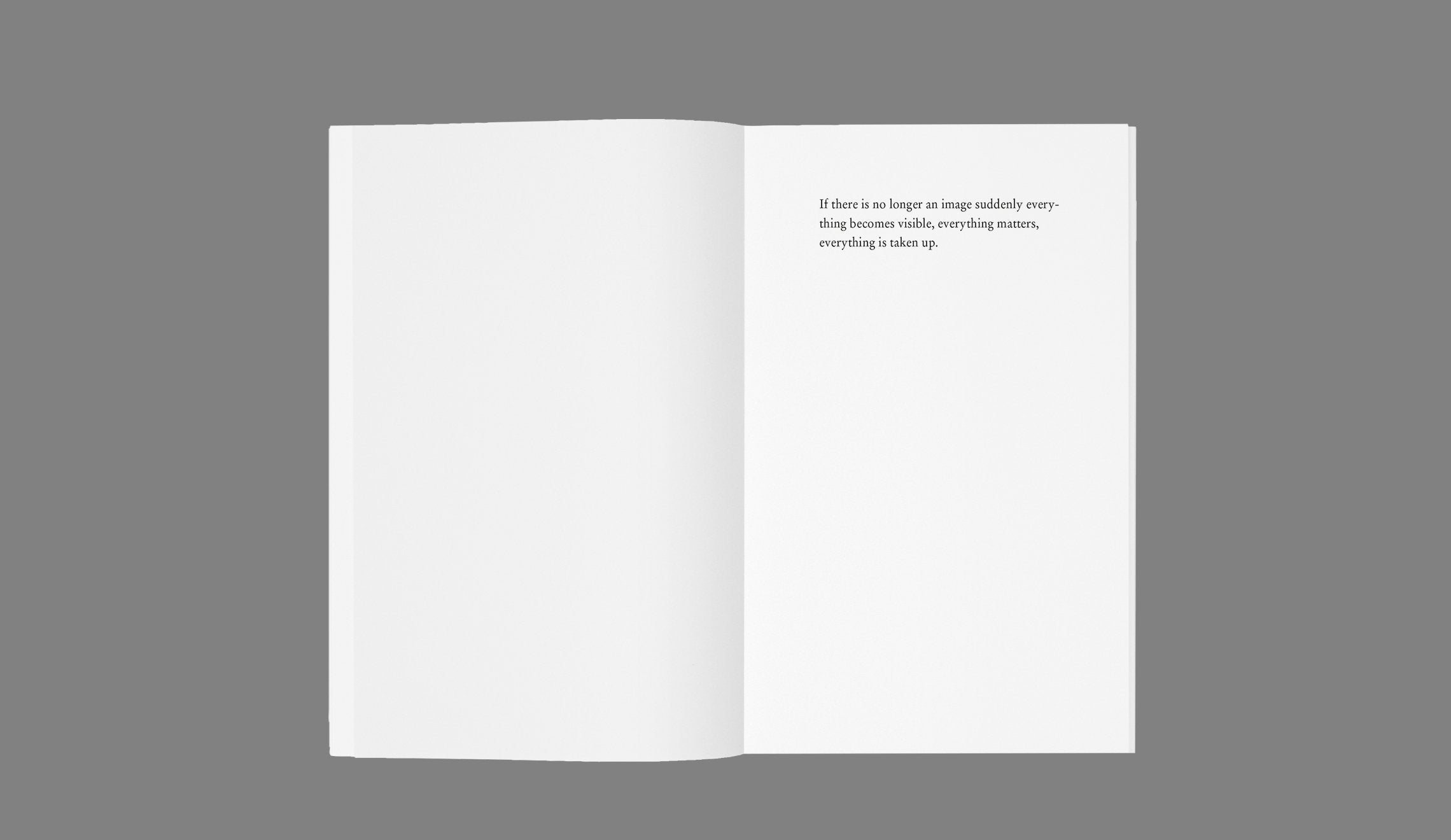 Stefan Sulzer - The Day My Mother Touched Robert Ryman