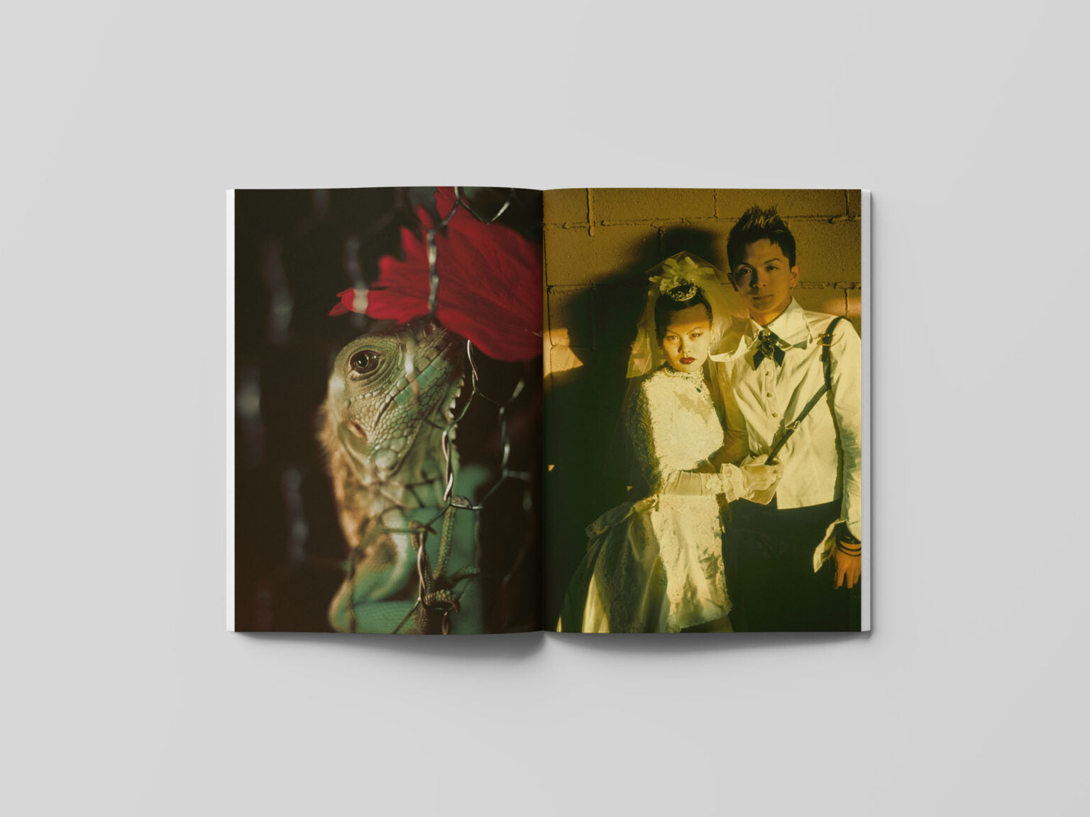 FAR-NEAR - Vol.6 "Heat"