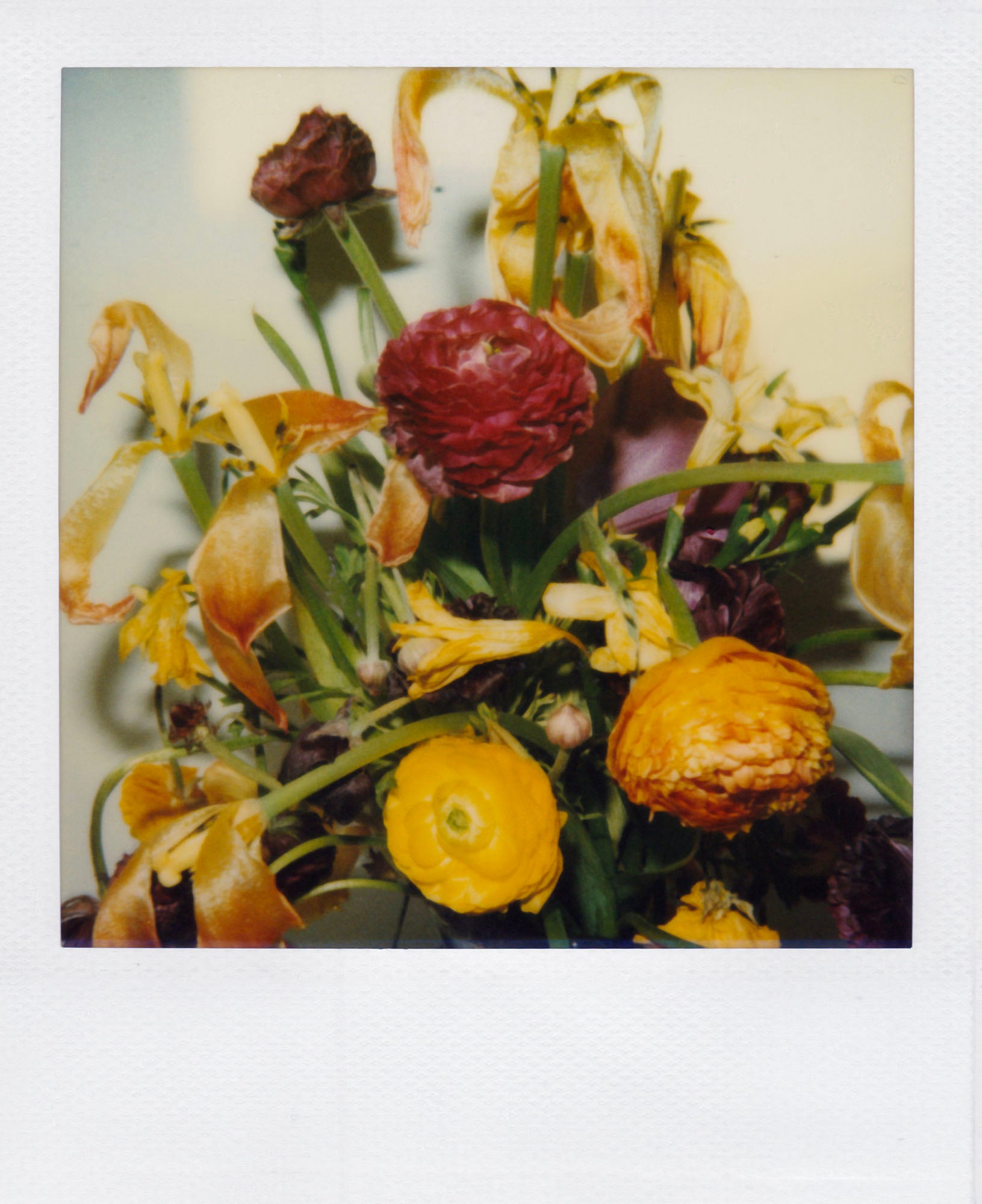 Nobuyoshi Araki <br><em>Flower</em>, 2006-2009