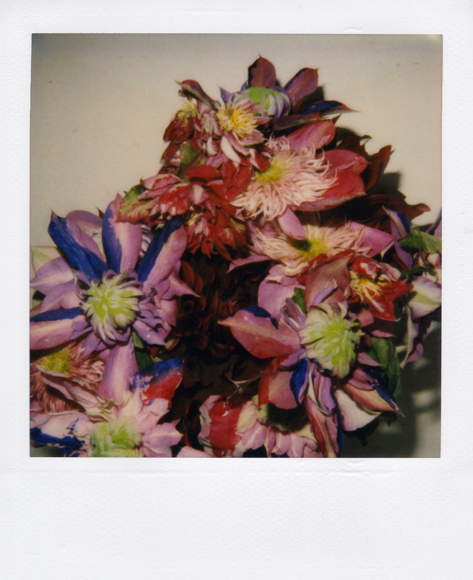 Nobuyoshi Araki <br><em>Flower</em>, 2006-2009