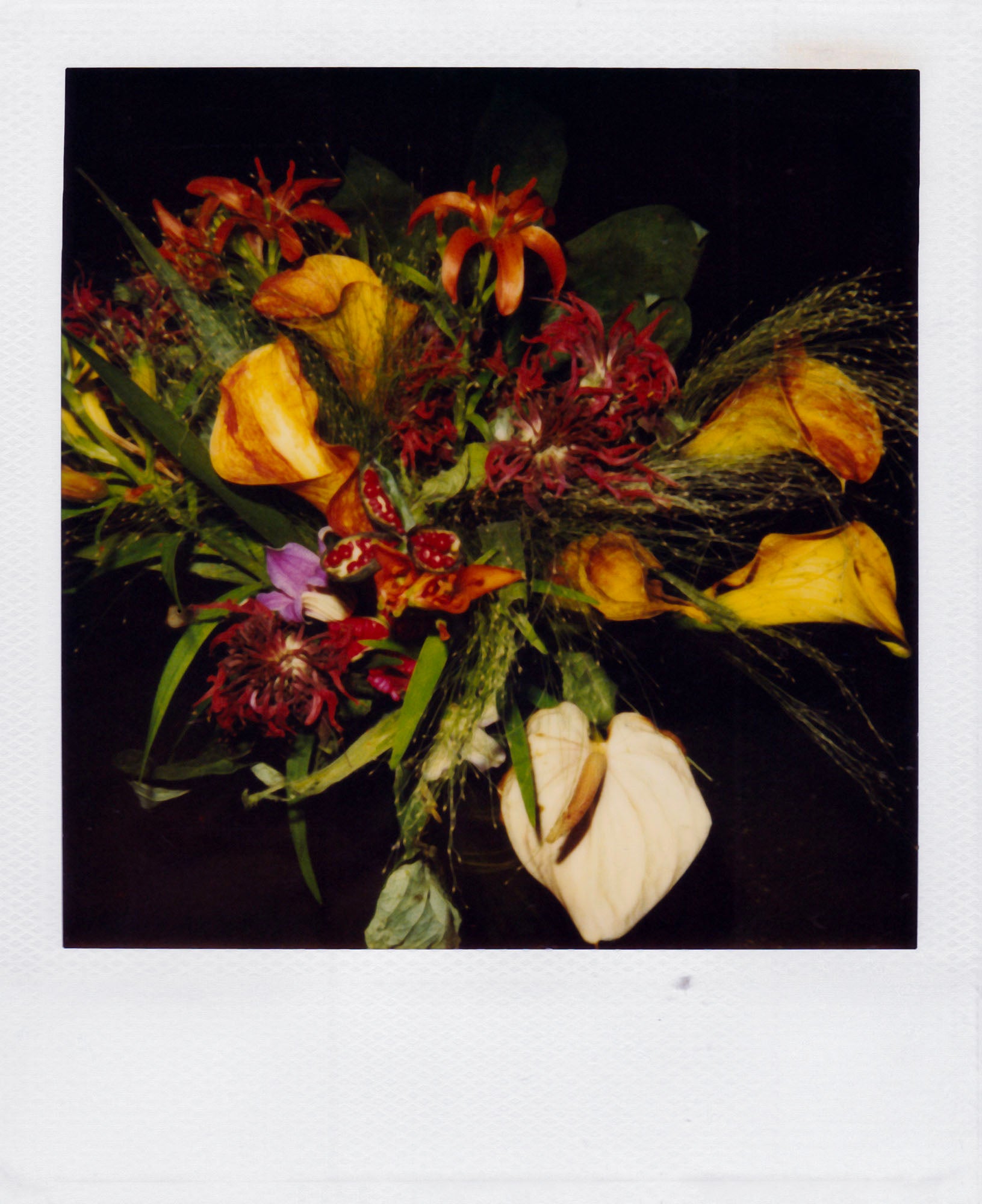 Nobuyoshi Araki <br><em>Flower</em>, 2006-2009