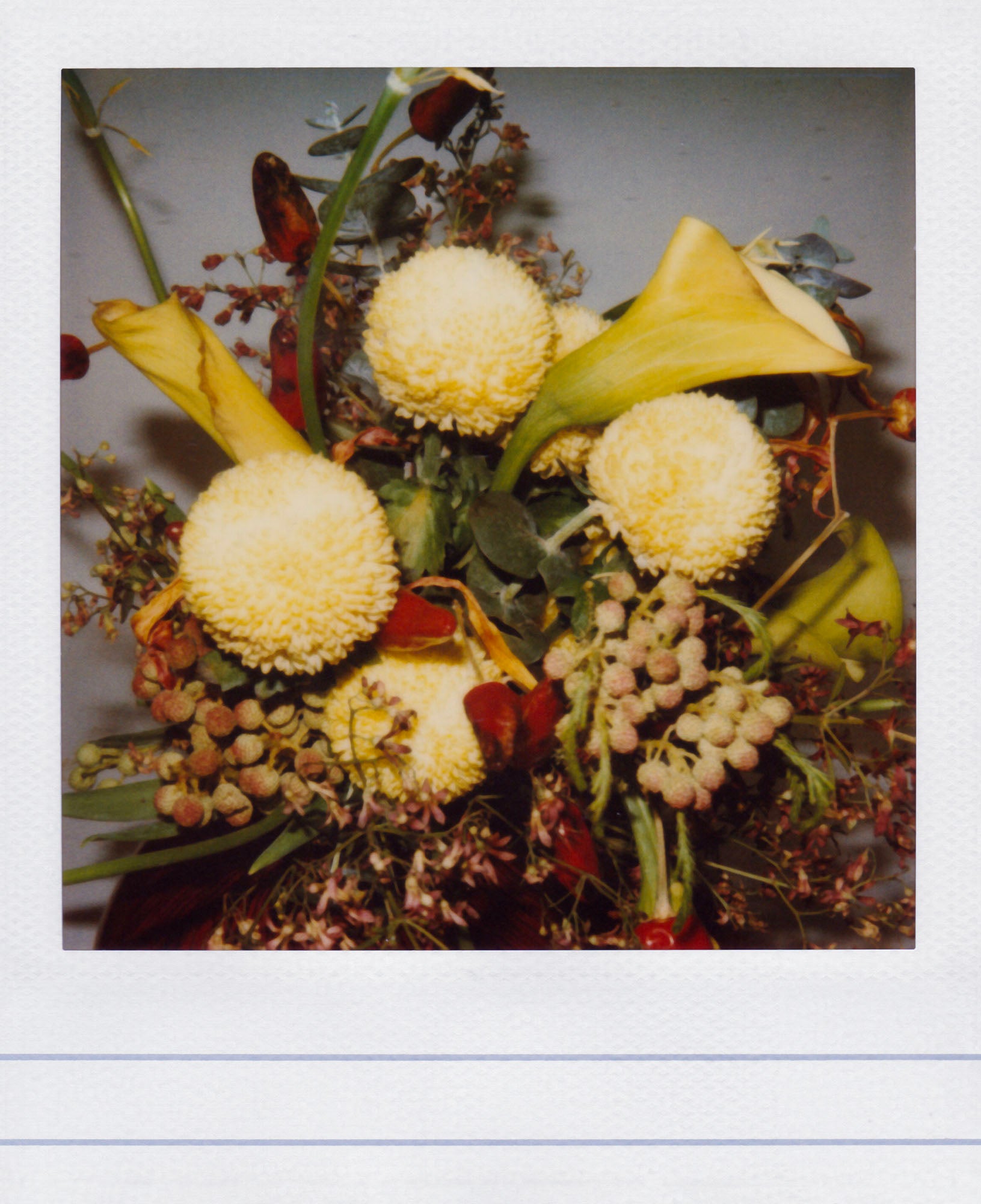 Nobuyoshi Araki <br><em>Flower</em>, 2006-2009