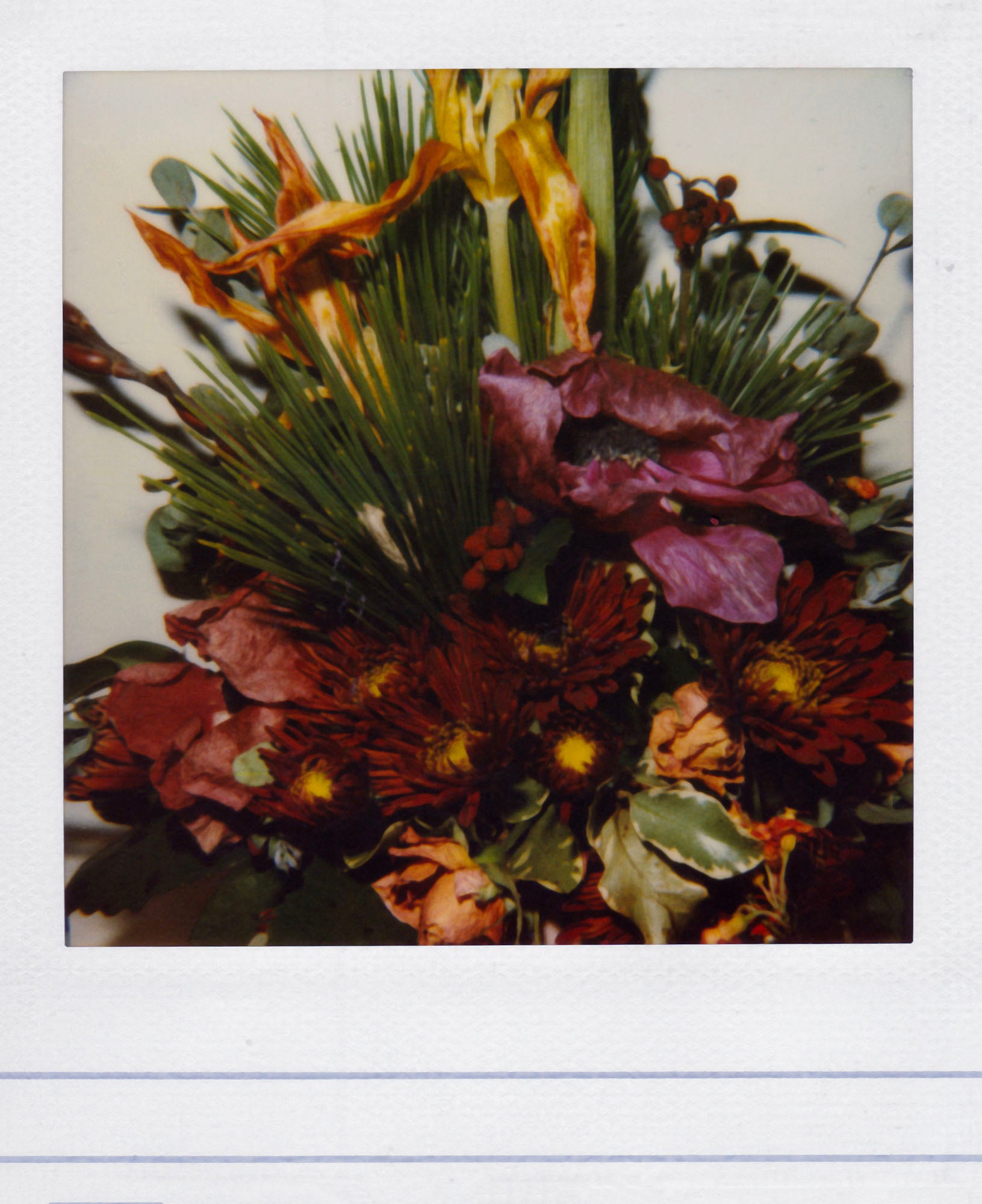 Nobuyoshi Araki - Flower, 2006-2009 – Yvon Lambert Paris