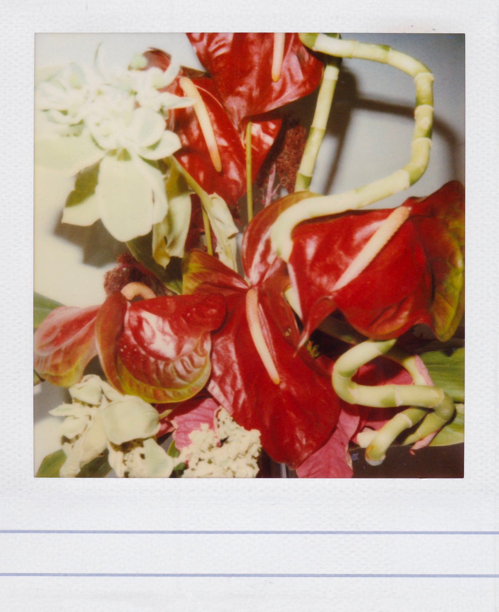 Nobuyoshi Araki - Flower, 2006-2009 – Yvon Lambert Paris