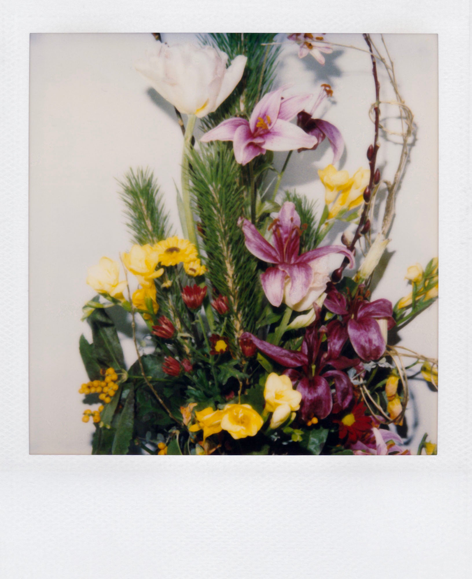 Nobuyoshi Araki <br><em>Flower</em>, 2006-2009