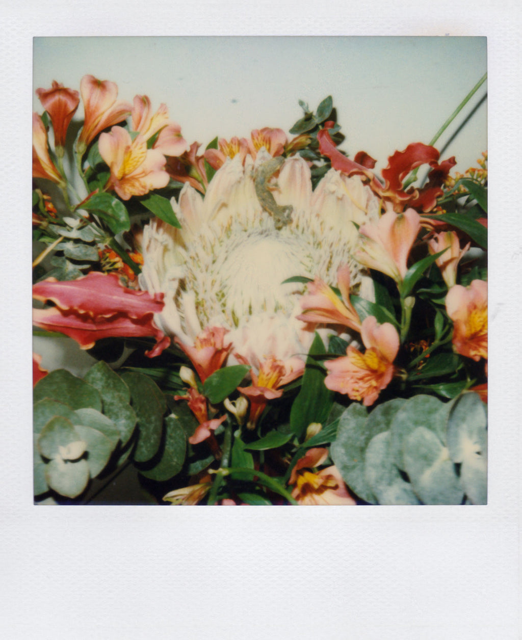 Nobuyoshi Araki <br><em>Flower</em>, 2006-2009