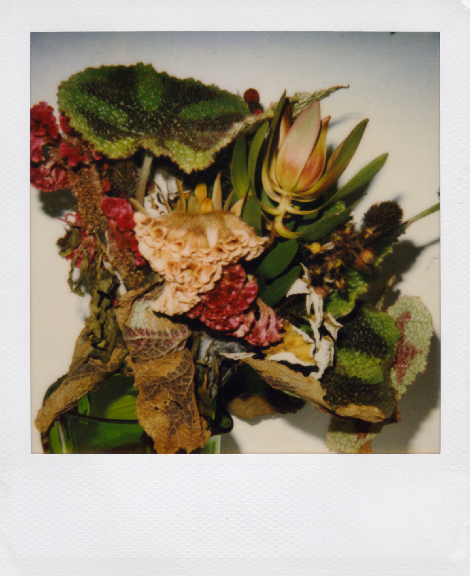 Nobuyoshi Araki <br><em>Flower</em>, 2006-2009