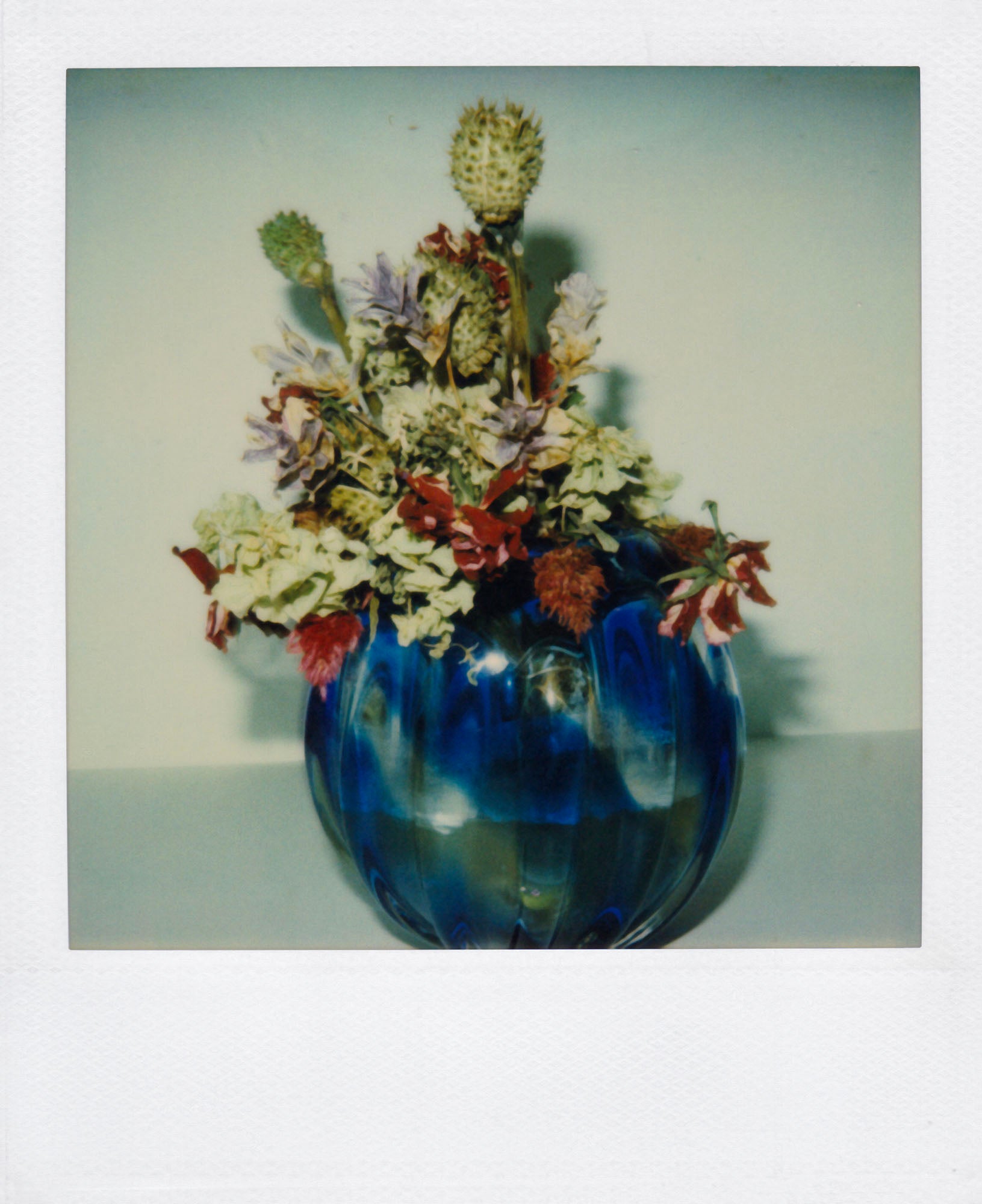 Nobuyoshi Araki <br><em>Flower</em>, 2006-2009