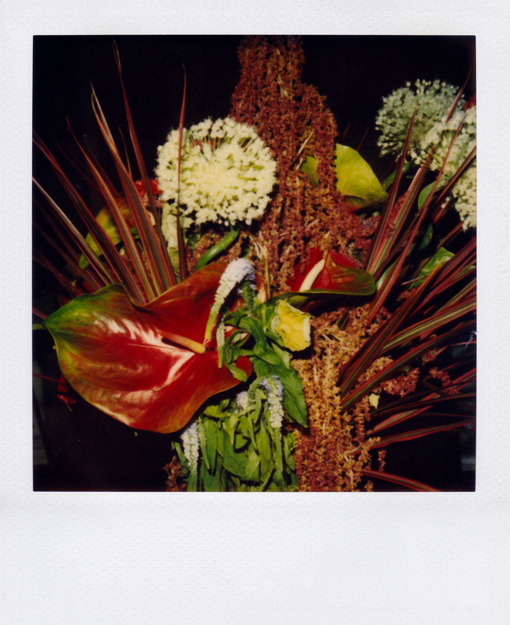 Nobuyoshi Araki - Flower, 2006-2009 – Yvon Lambert Paris