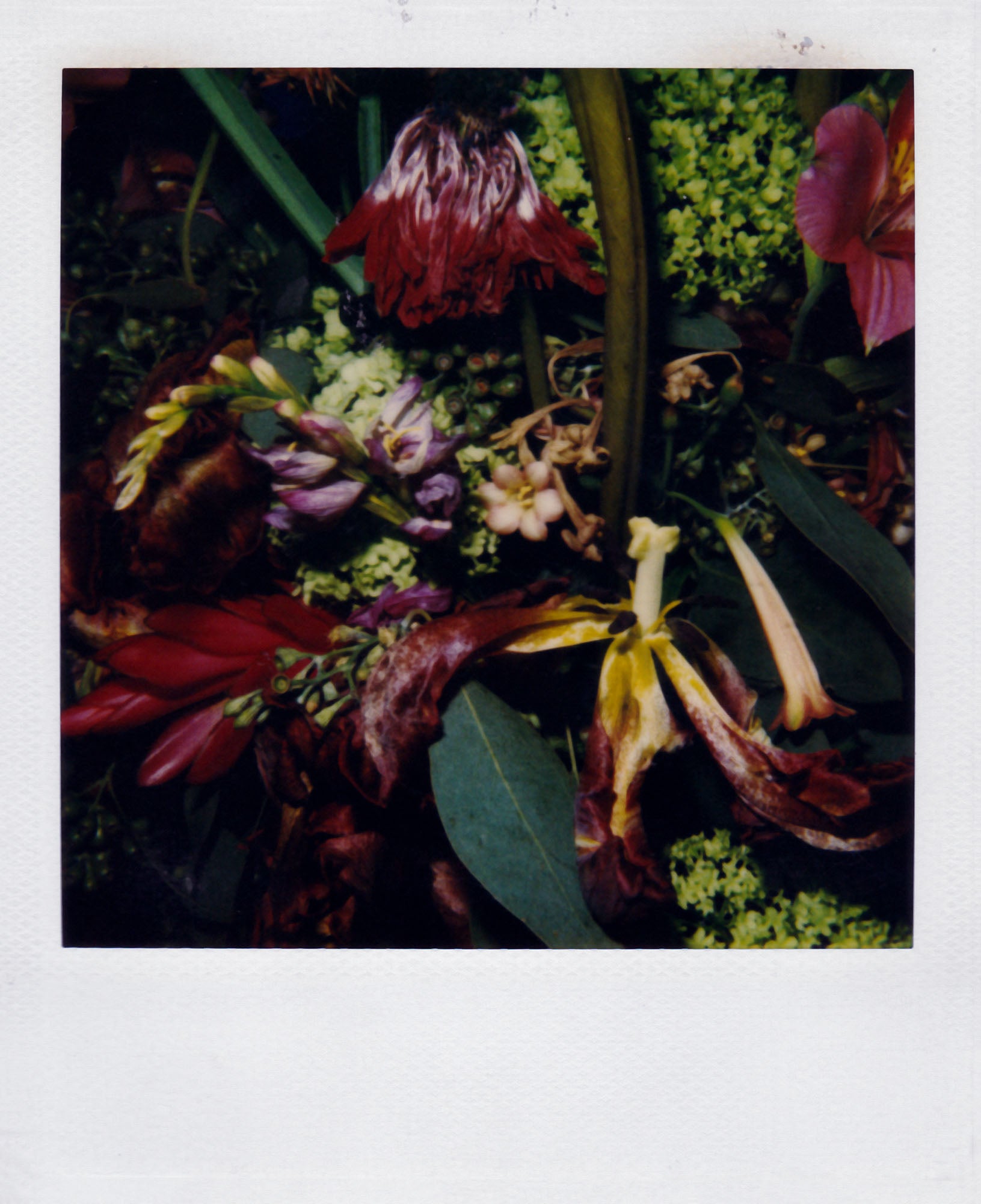 Nobuyoshi Araki - Flower, 2006-2009 – Yvon Lambert Paris