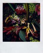 Nobuyoshi Araki <br><em>Flower</em>, 2006-2009