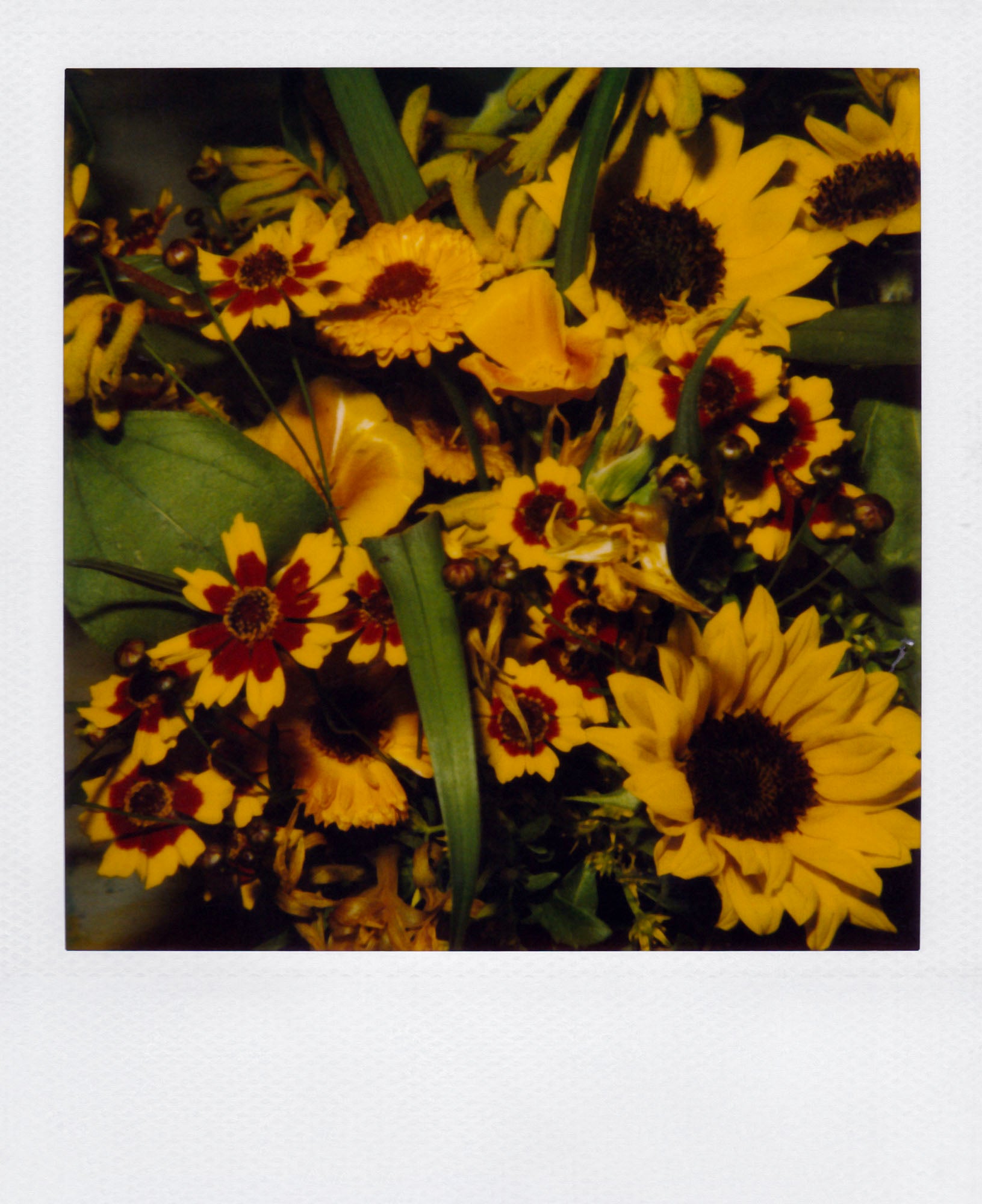 Nobuyoshi Araki <br><em>Flower</em>, 2006-2009