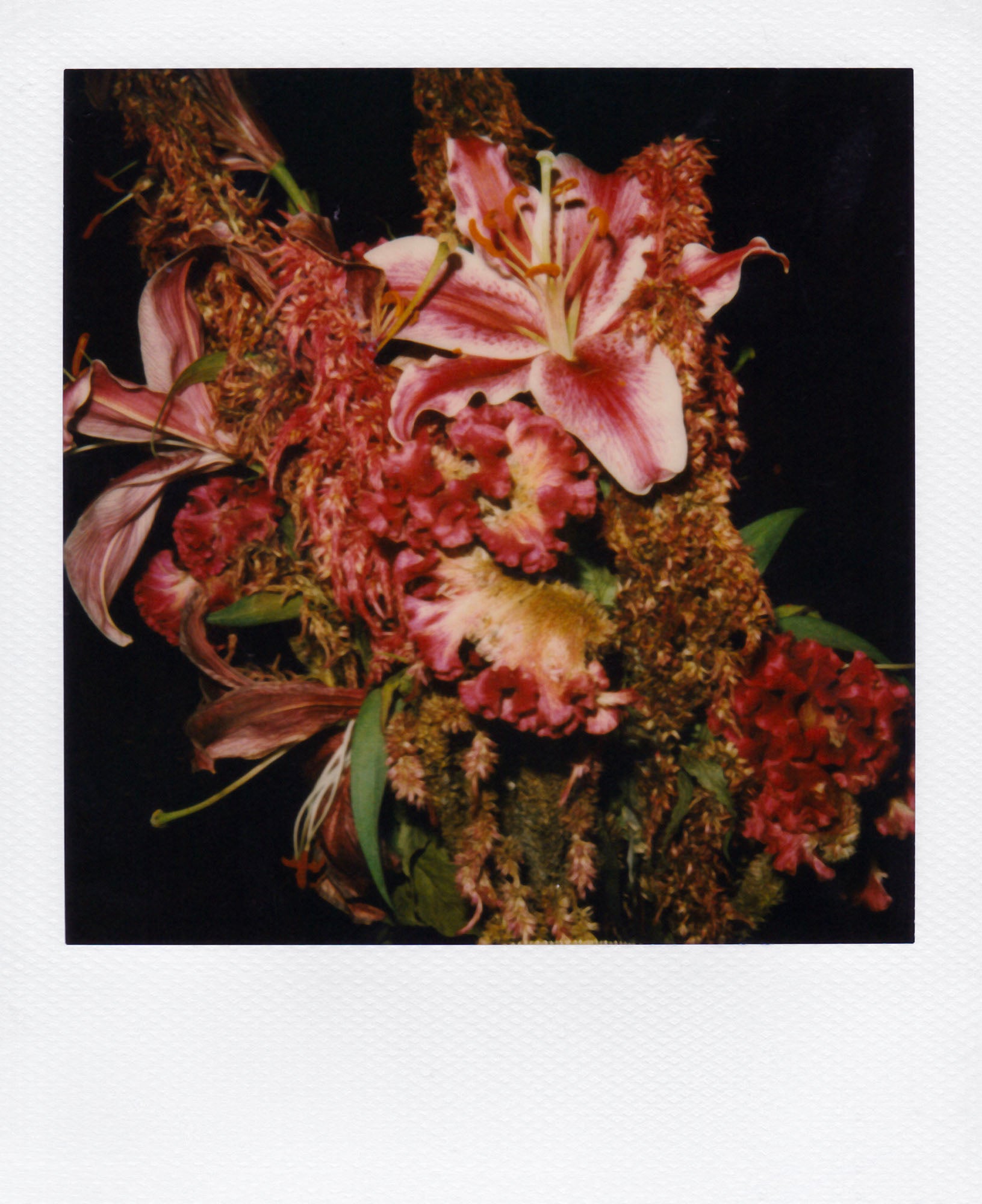 Nobuyoshi Araki <br><em>Flower</em>, 2006-2009