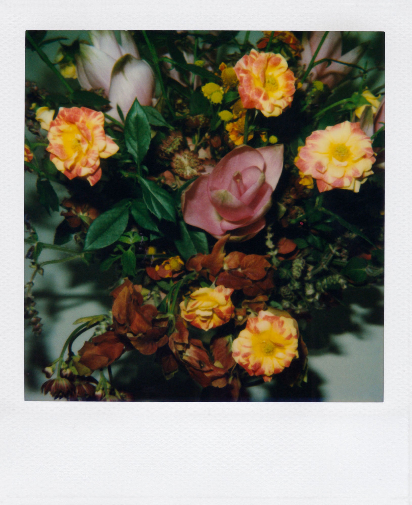 Nobuyoshi Araki <br><em>Flower</em>, 2006-2009