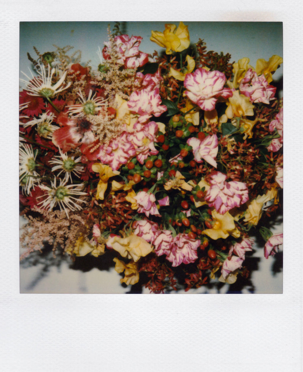 Nobuyoshi Araki <br><em>Flower</em>, 2006-2009