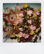 Nobuyoshi Araki <br><em>Flower</em>, 2006-2009