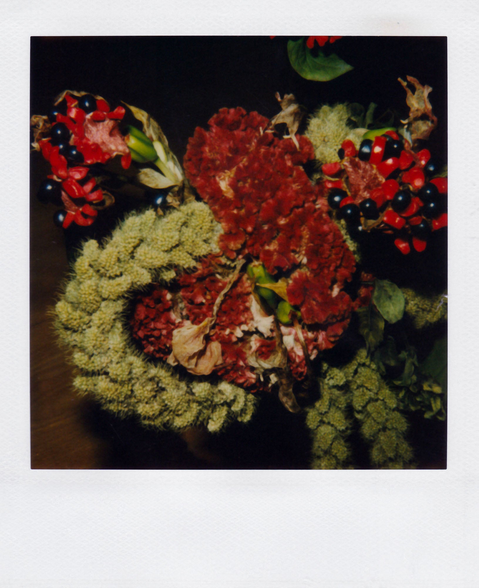 Nobuyoshi Araki <br><em>Flower</em>, 2006-2009