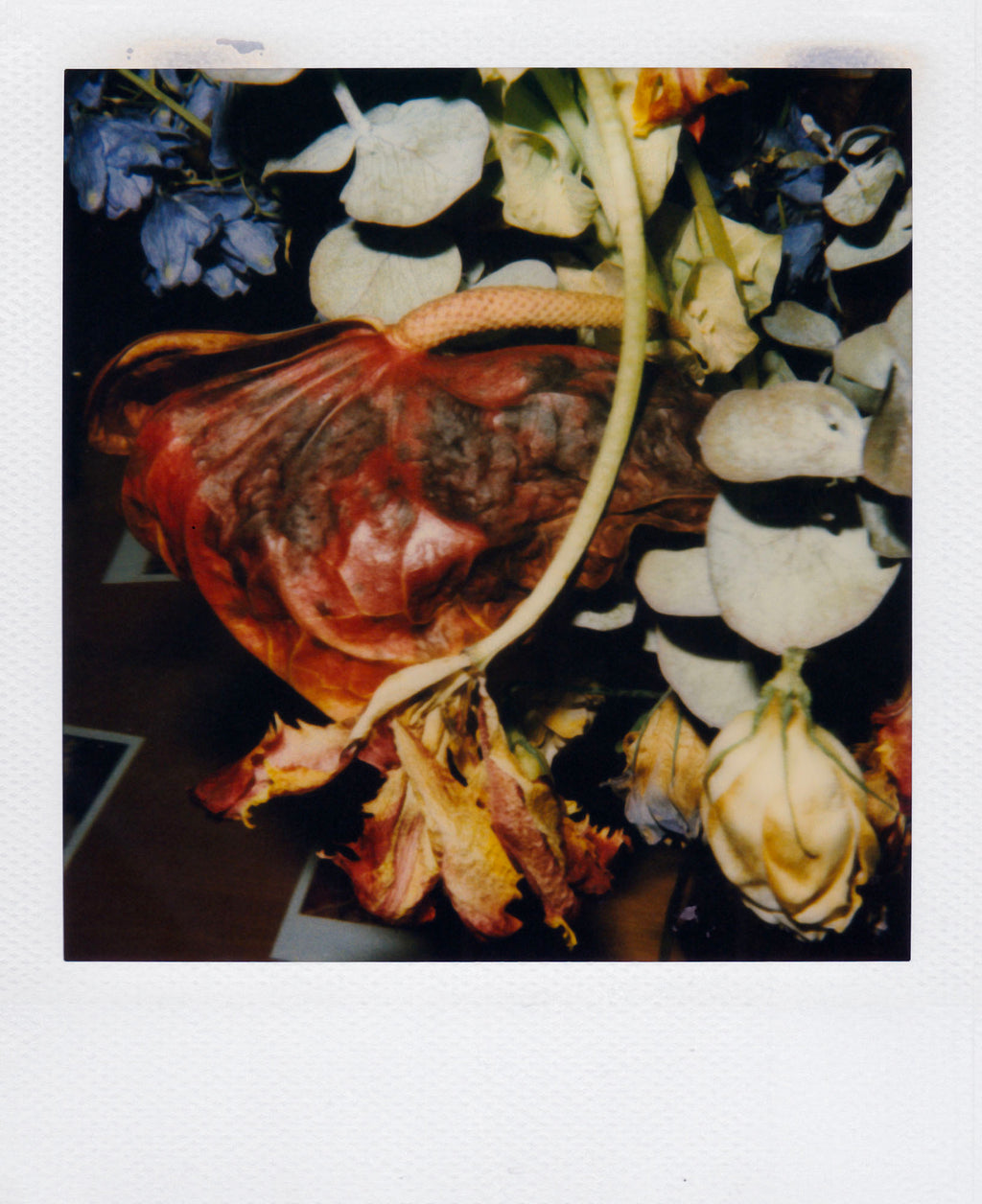 Nobuyoshi Araki <br><em>Flower</em>, 2006-2009