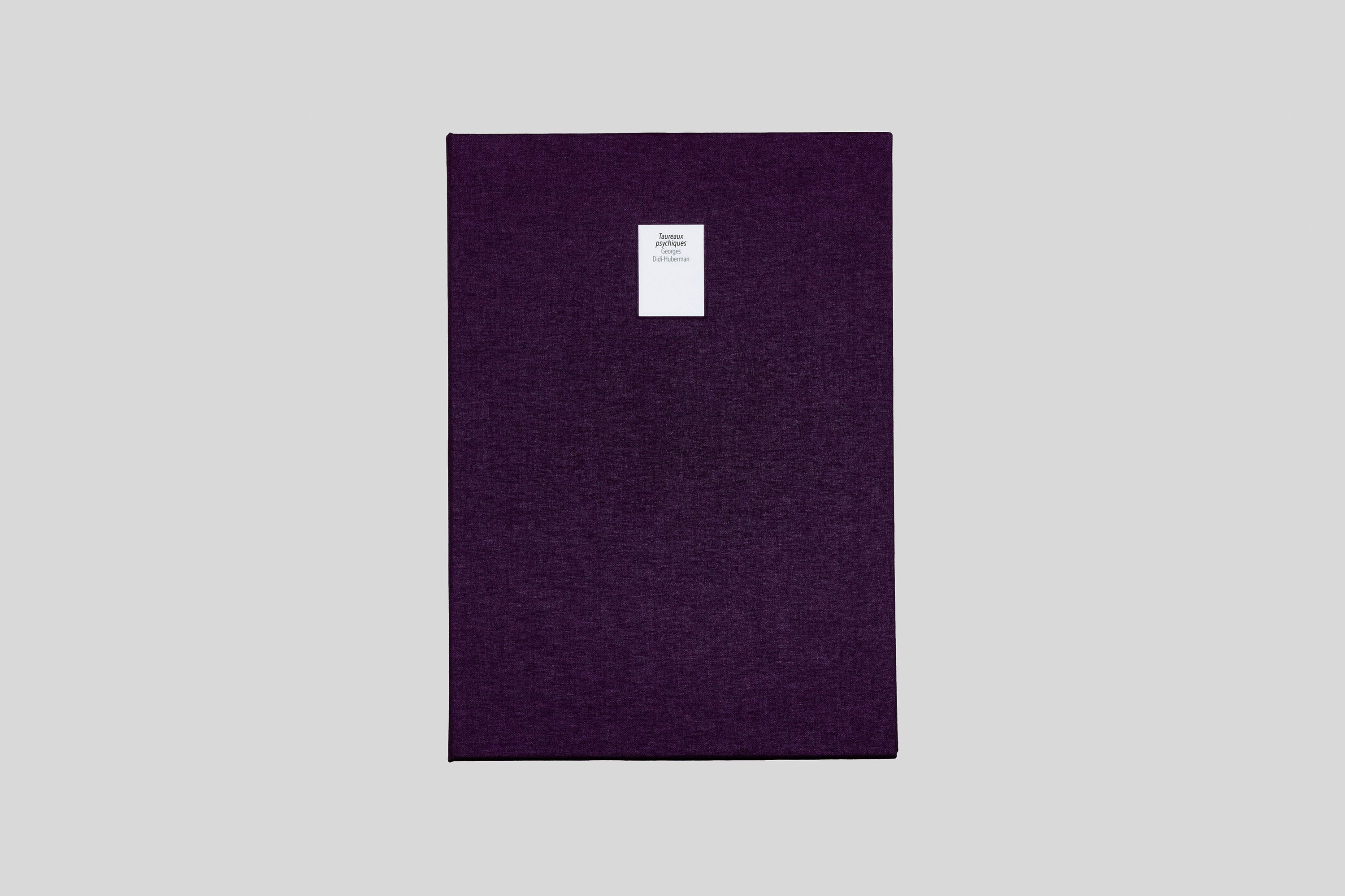 Georges Didi-Huberman - Taureaux psychiques