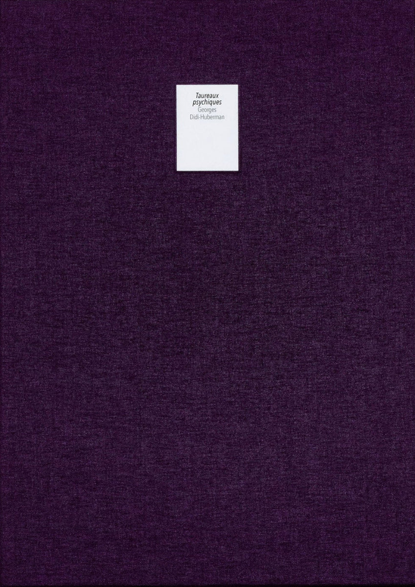 Georges Didi-Huberman - Taureaux psychiques