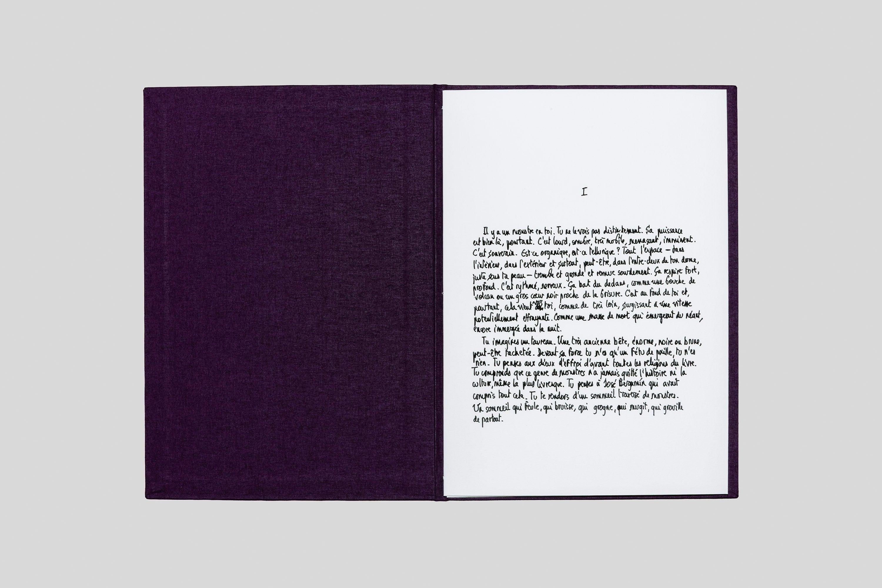 Georges Didi-Huberman - Taureaux psychiques