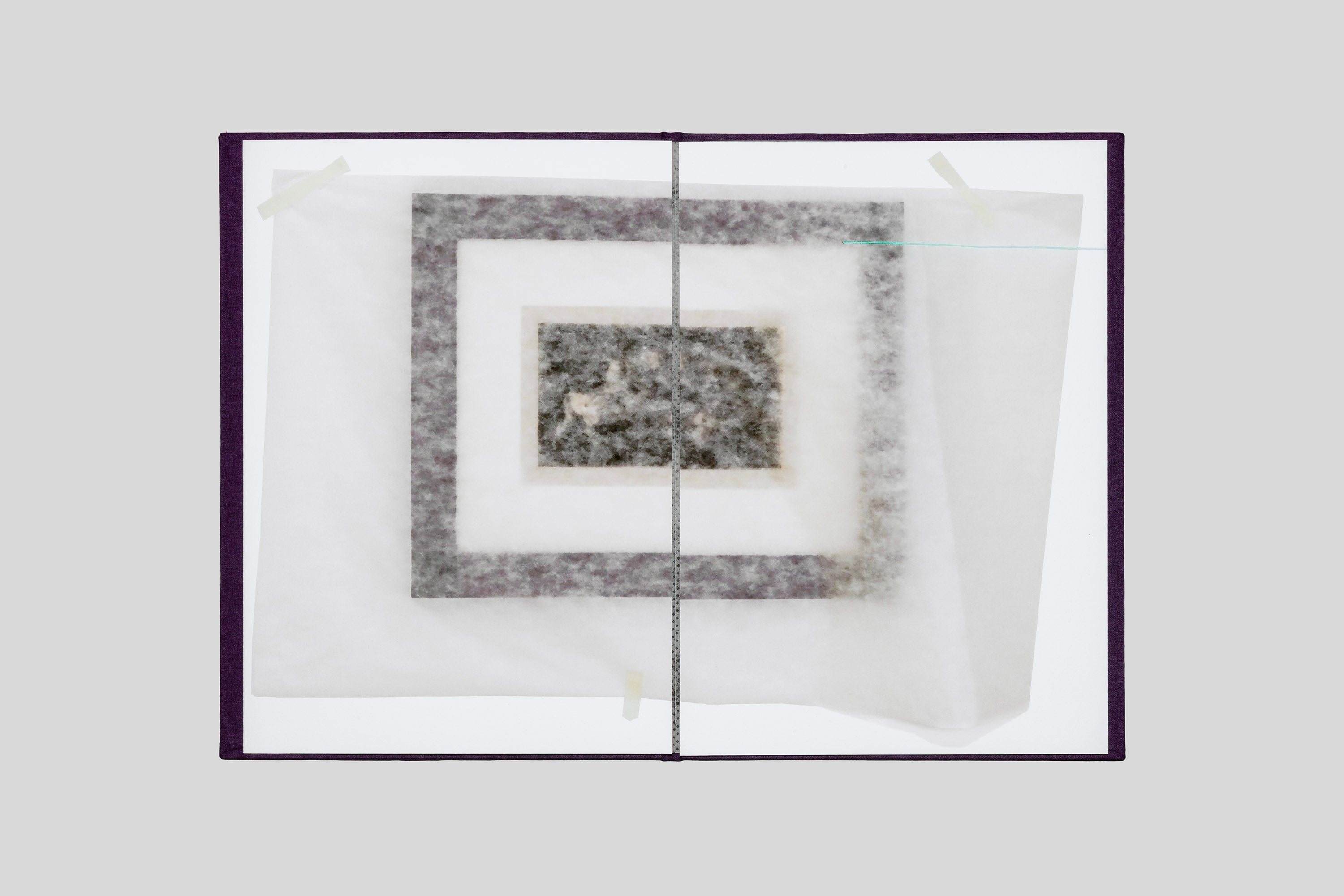 Georges Didi-Huberman - Taureaux psychiques