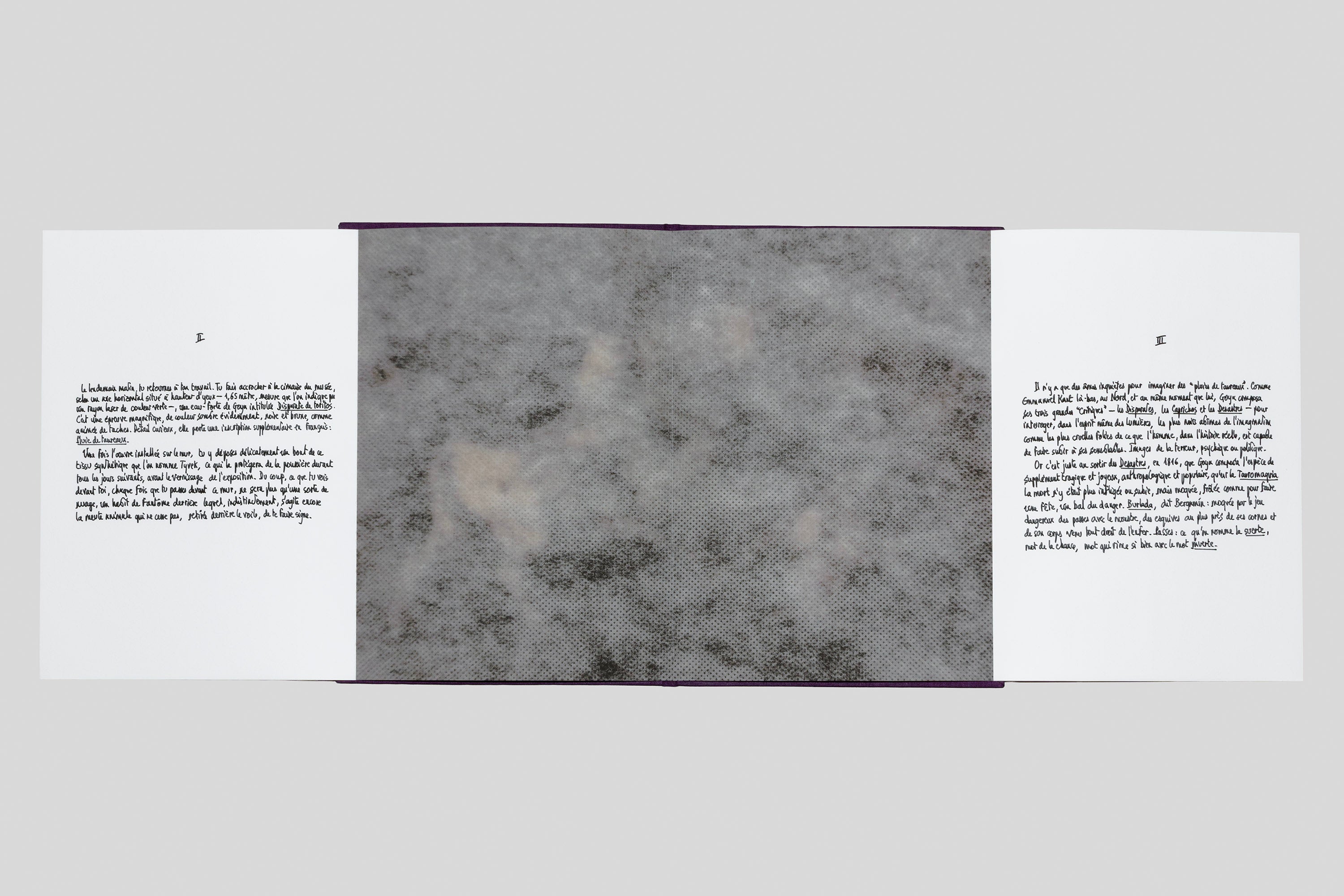 Georges Didi-Huberman - Taureaux psychiques