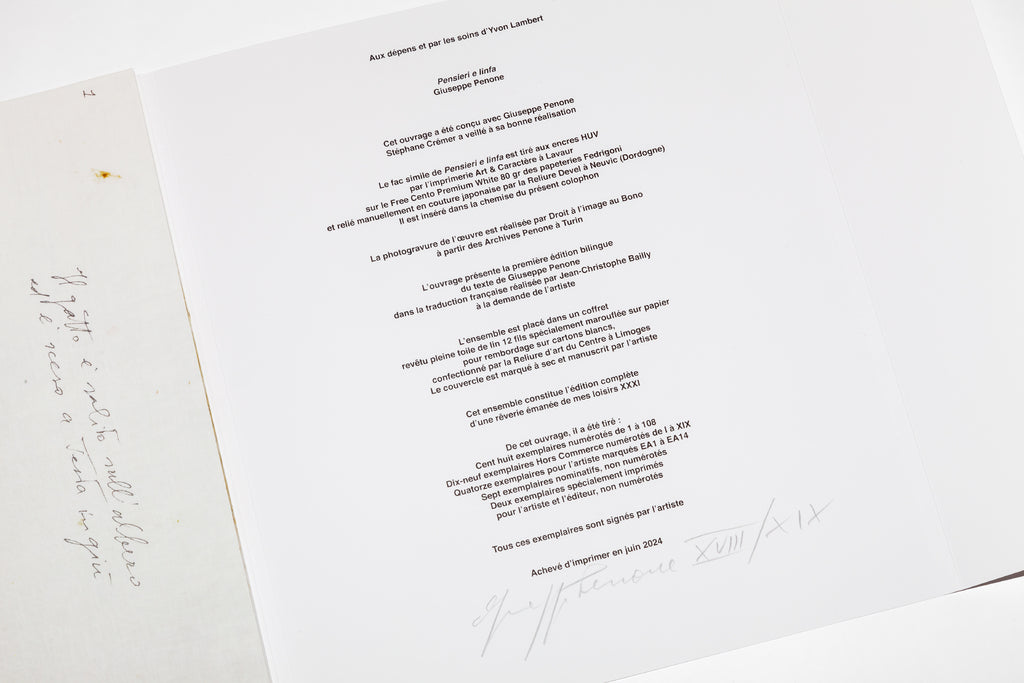 Giuseppe Penone - Pensieri e linfa