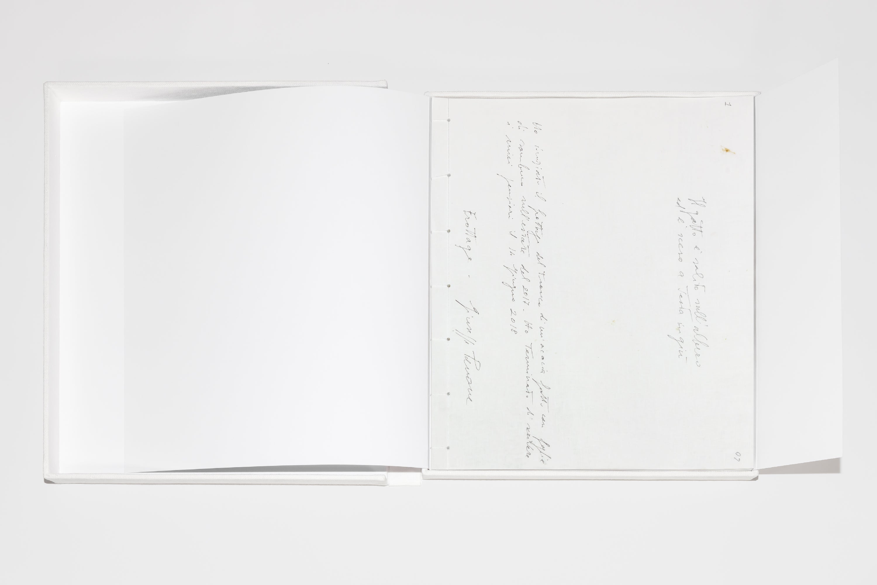 Giuseppe Penone - Pensieri e linfa