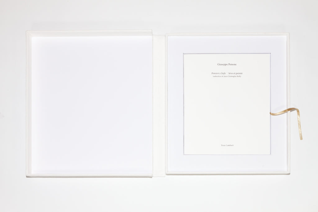 Giuseppe Penone - Pensieri e linfa
