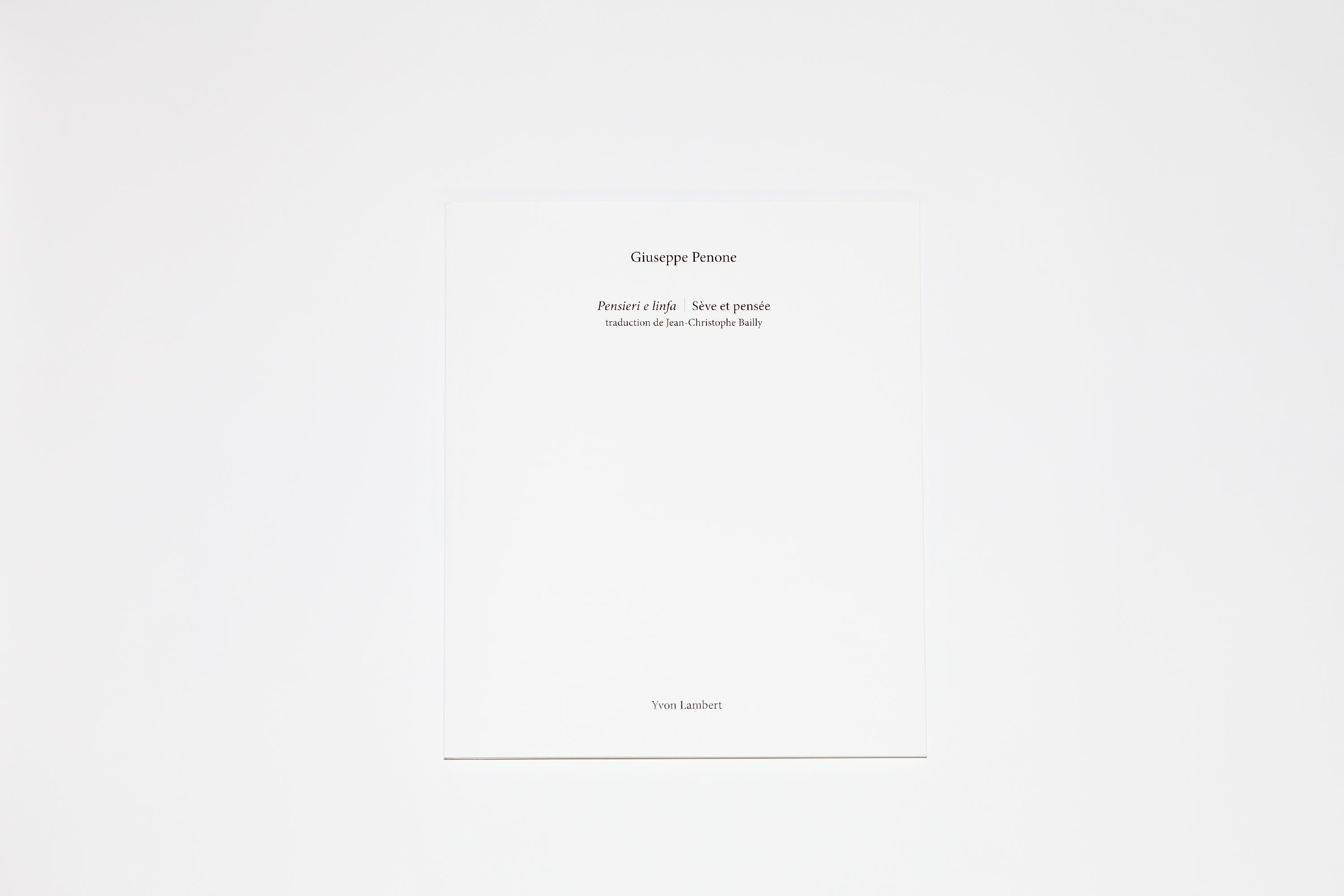 Giuseppe Penone - Pensieri e linfa