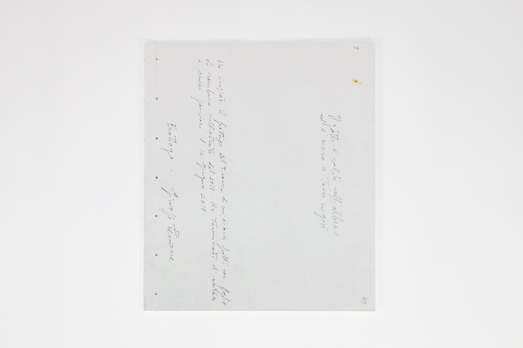 Giuseppe Penone - Pensieri e linfa