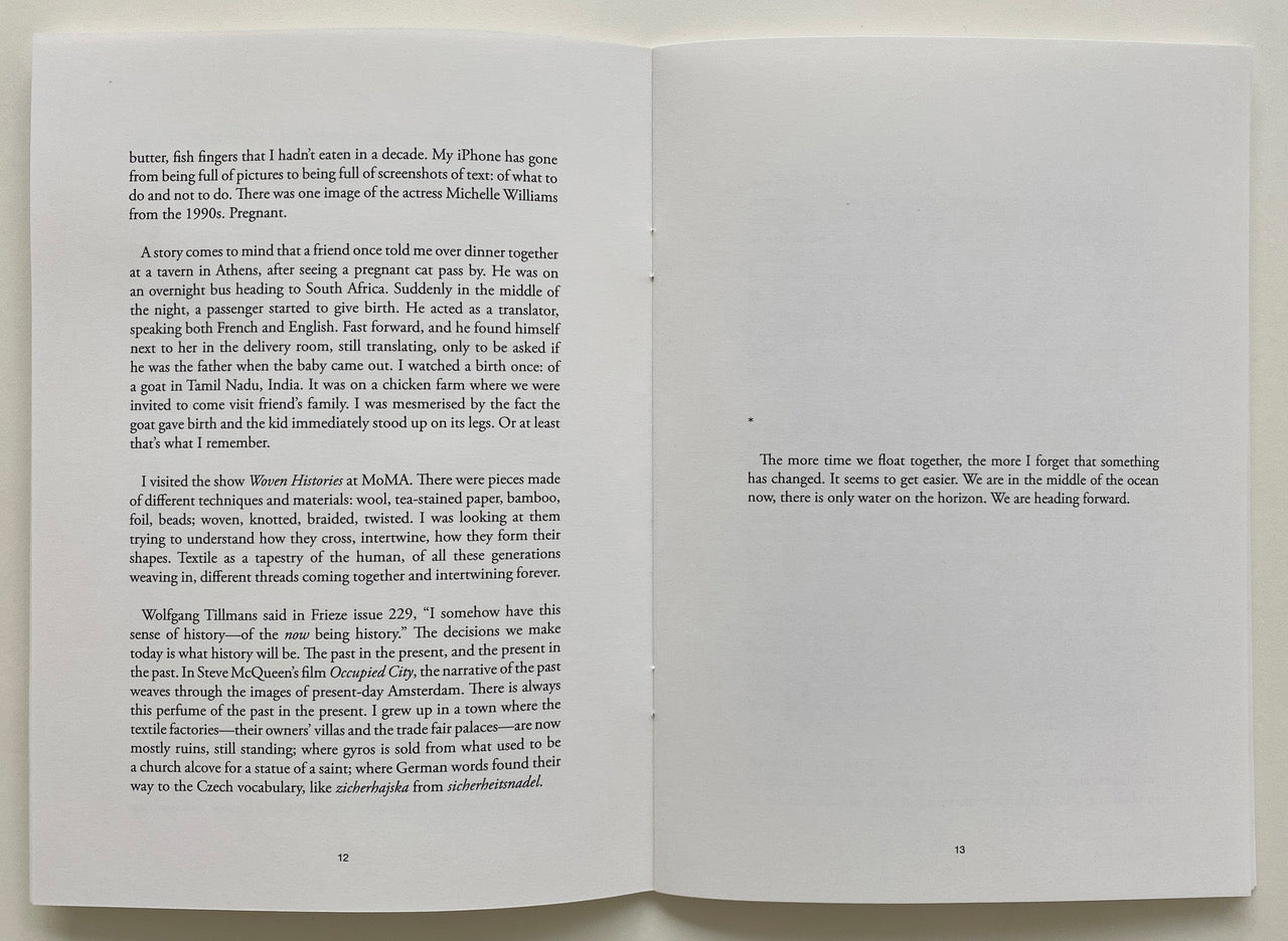 Dominika Hadelova - Happy Waiting