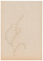 Haruko Madachi <br><em>Stamps</em>, 2025