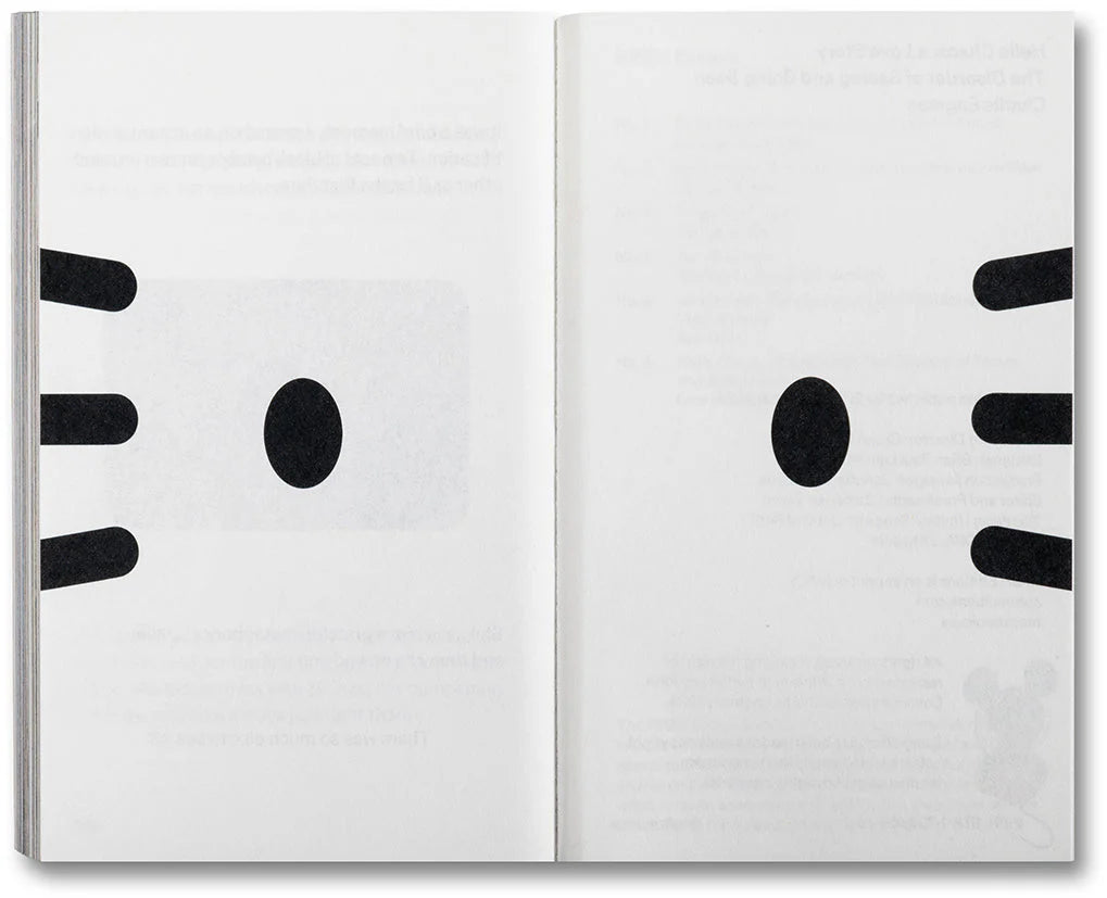 Charlie Engman - Hello Chaos, a Love Story: The Disorder of Seeing and Being Seen