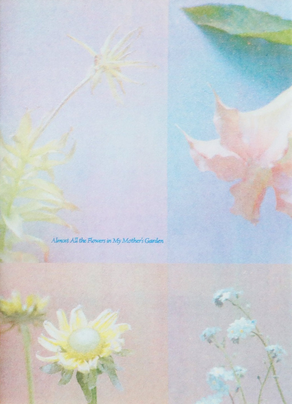 Hilla Kurki - Almost All the Flowers in My Mother’s Garden