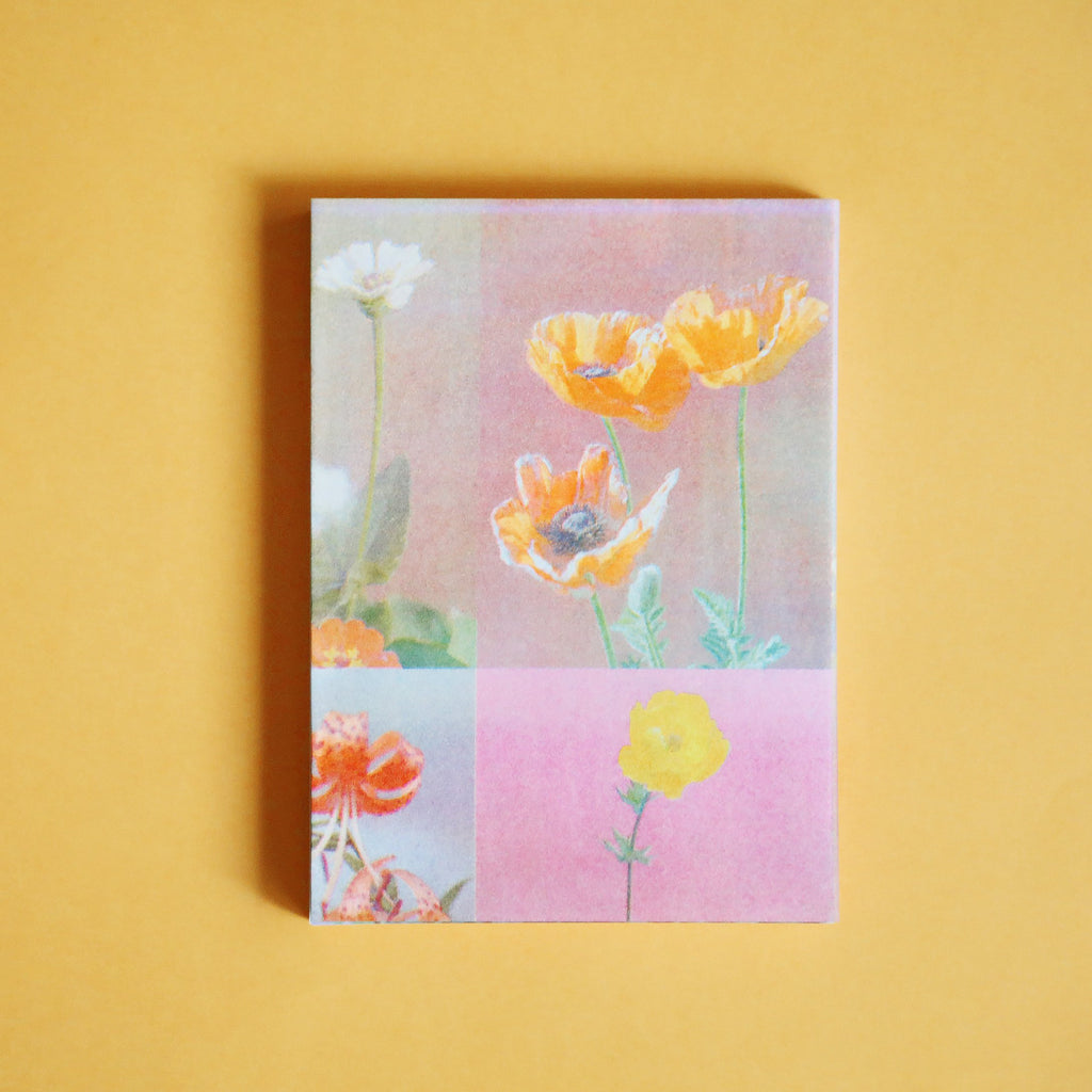 Hilla Kurki - Almost All the Flowers in My Mother’s Garden